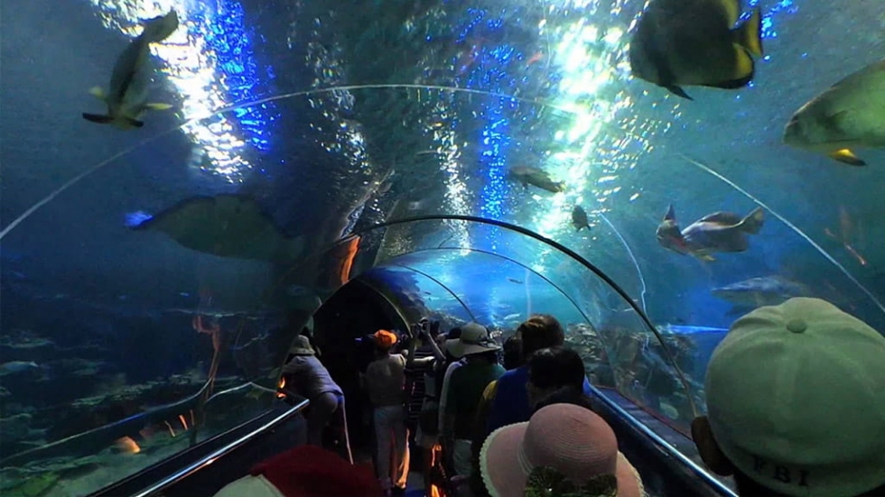 thamquanthuycungtringuyennhatrang1