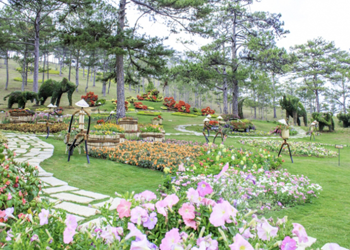 thung-lung-tinh-yeu-da-lat thung-lung-tinh-yeu