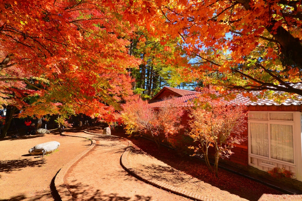 top10diadiemdulichdailoanmuathudepnhat7 Xizhi Beaconsfield Hall