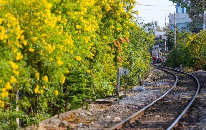 trainghiemmotmuahoavangnoro