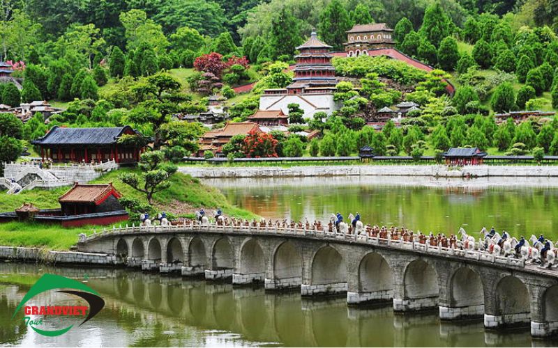 Trung Tâm Hoa Cẩm Tú