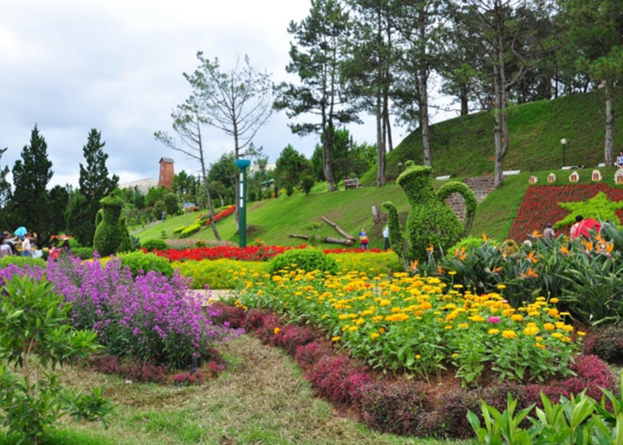 vuon-hoa-da-lat-lam-dong Vườn hoa thành phố