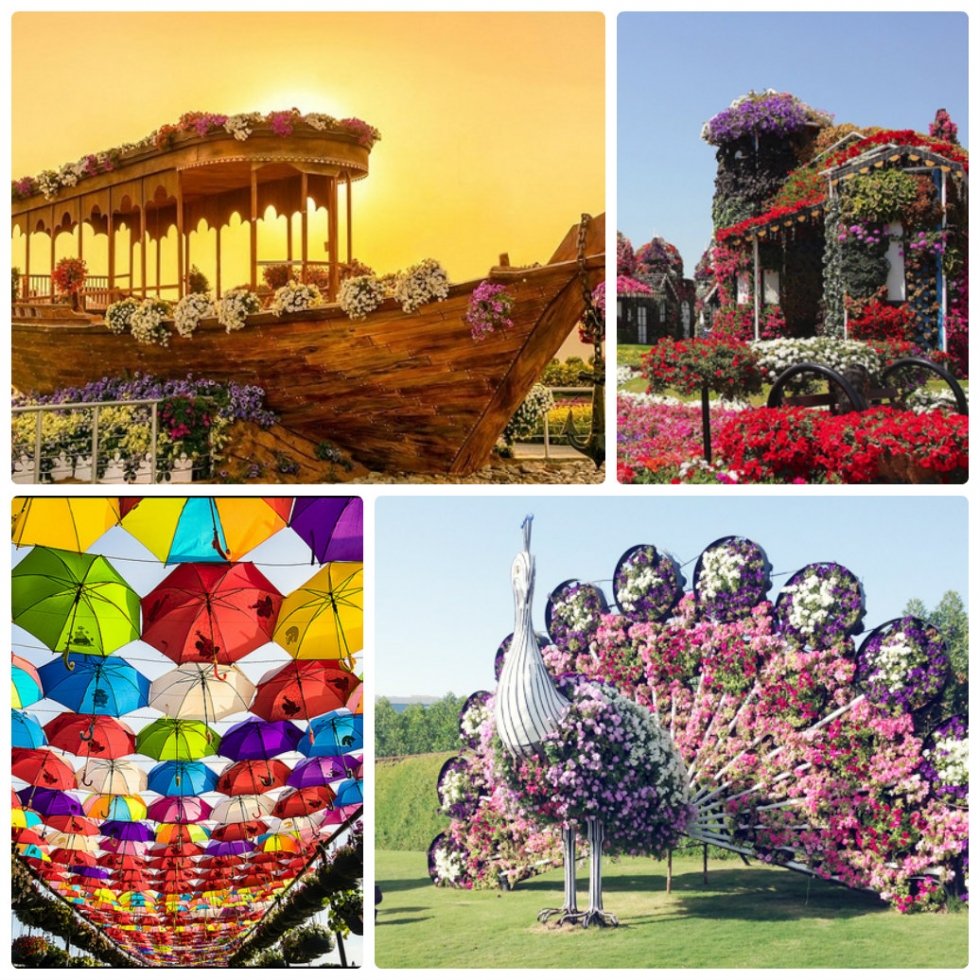 vuon-hoa-dieu-ky-dubai-miracle-garden