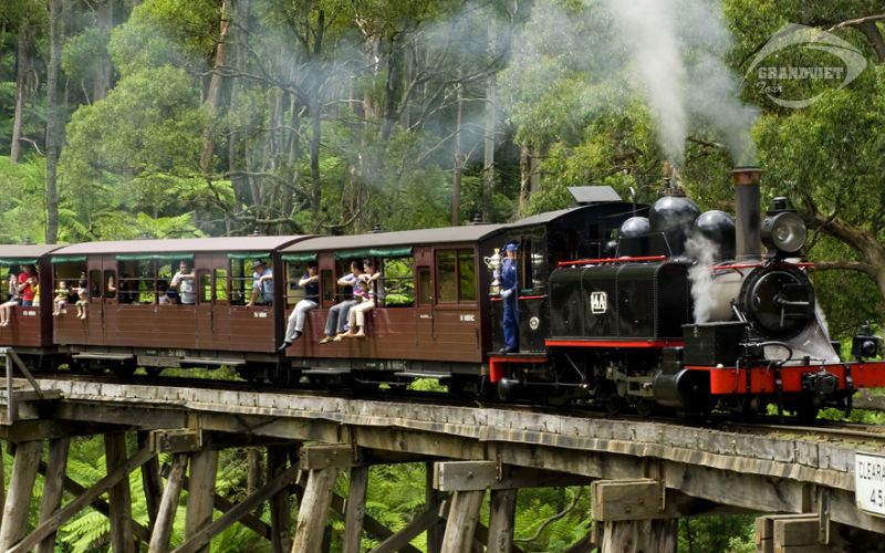 Xe lửa hơi nước Puffing Billy - Tour du lịch Úc