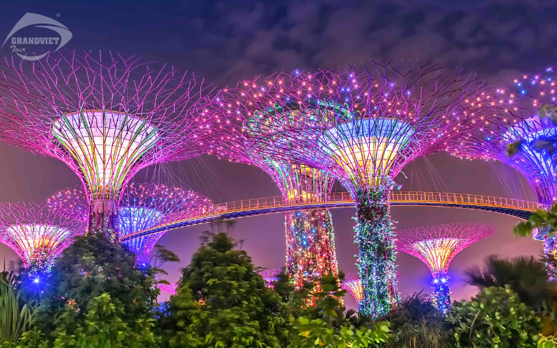 Garden by the Bay - Du lịch Singapore