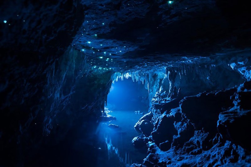 Waitomo caves - du lịch Úc Newzealand