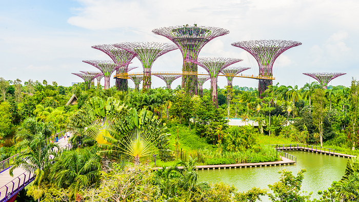 4ngaytrainghiemtronvensingaporetrongdiphe4