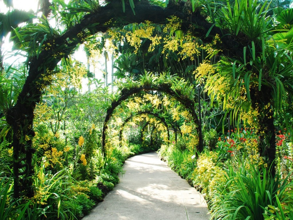 botuinhungkinhnghiemkhididulichsingapore4