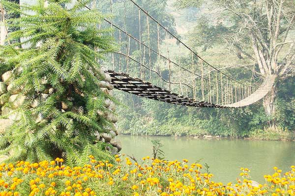 Cầu Mây tại Sa Pa