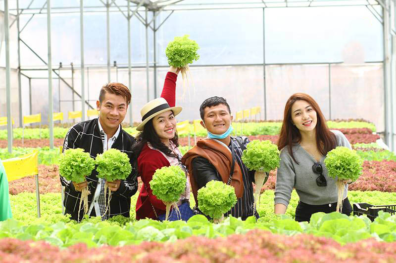 choangngoptruocmuacaivangdalat4