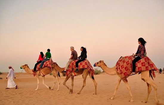 Đến Dubai khám phá sa mạc bằng lạc đà Đến Dubai khám phá sa mạc bằng lạc đà