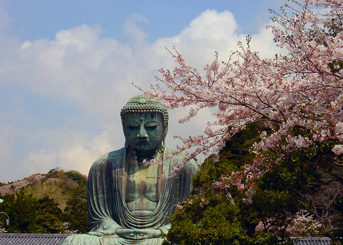 dai-phat-kamkura Đại Phật Kamkura