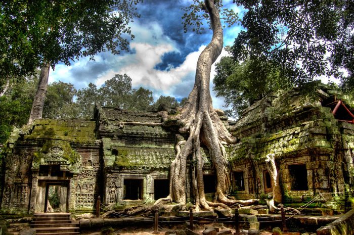 dentaprohm20campuchia