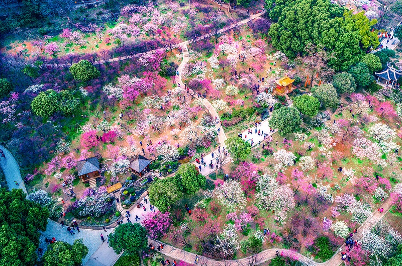diadiemdulichvatrungtammuasamtaihanquoc8
