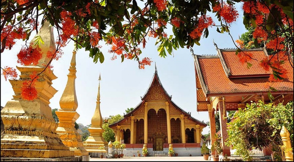 didulichloadiphevuadeplaiyenbinh1-1