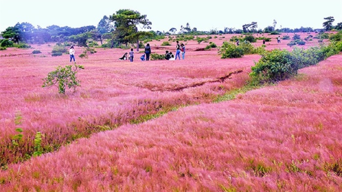 doicohonghanquoctrongsacthu3