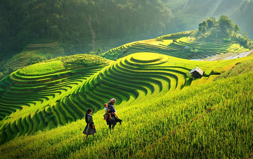 du-lich-sapa-mua-lua-chin-len-nuong