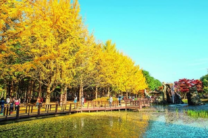 dulichhanquocdonthuvangtaiseoul-nami-everland2