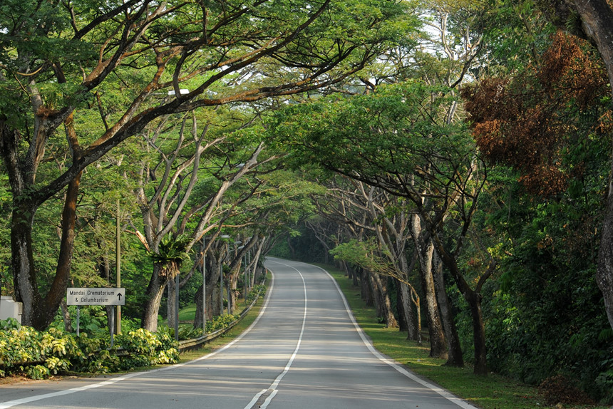 dulichhanquocmuanaodepnhat3