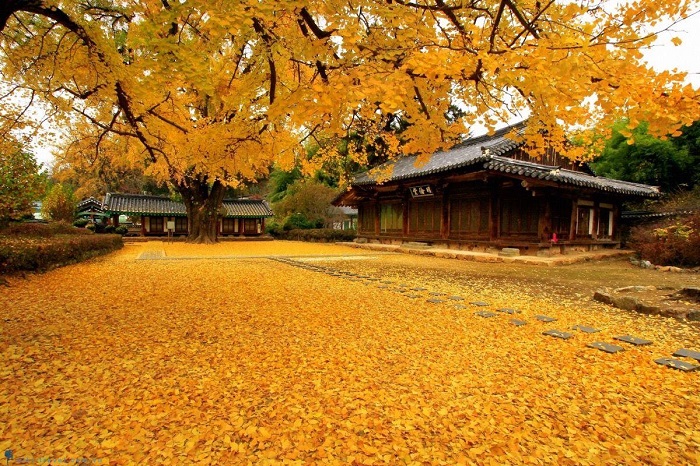dulichhanquocseoul-jeju-nami-everland2