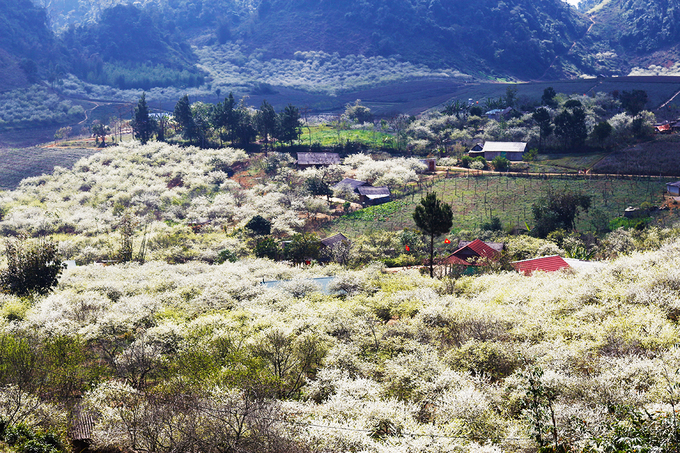 dulichmocchaugiuamuamannotrangdoi6