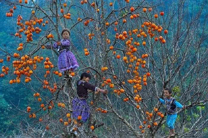 dulichmocchaumuathuvoidoihongtriuqua3