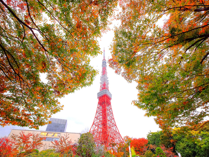 dulichnhatbanosaka-kyoto-nagoya-fuji-tokyo-disneyland3
