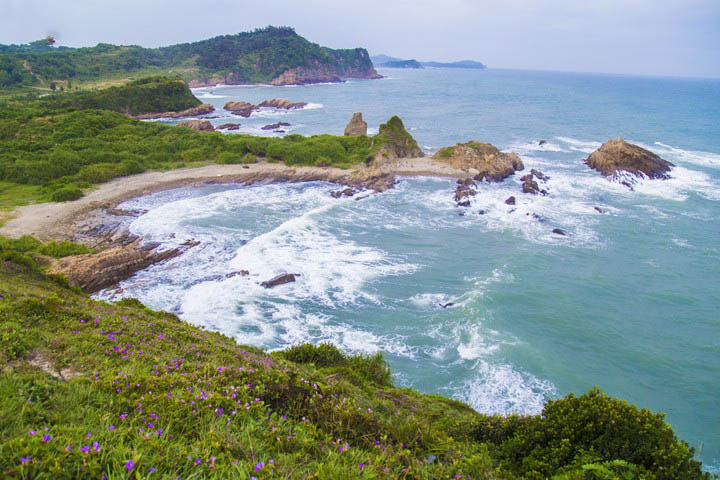 duxuandaocotocogihapdankhongtheboqua2