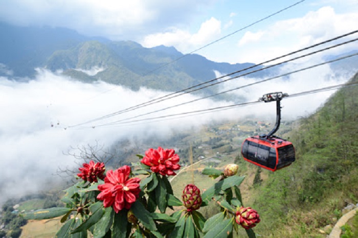 giamgiavedicaptreofansipansapa3