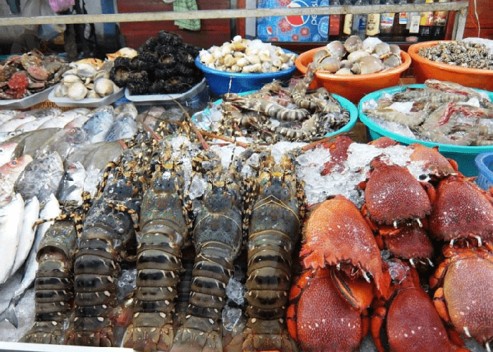 hai-san-phu-quoc Hải sản Phú quốc - đặc sản bất bại của Phú Quốc