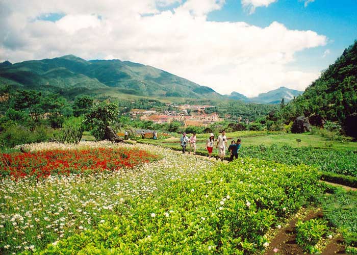ham-rong Cẩm nang du lịch Sapa