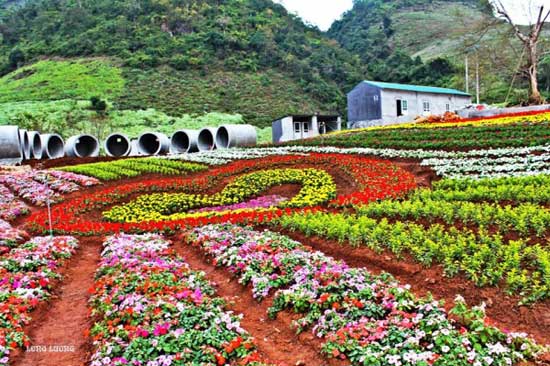 happy-land moc-chau
