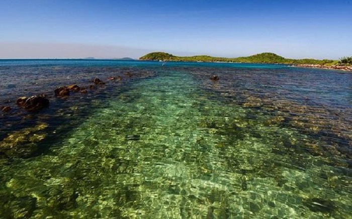 honmayrutphuquoc2