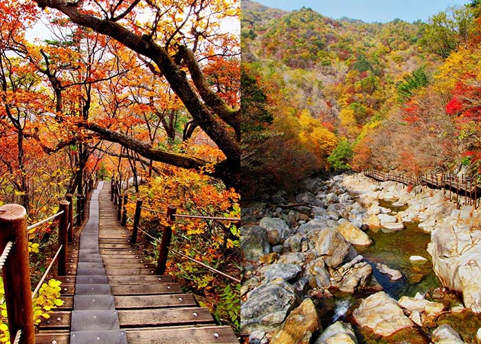 jirisan-sancheong-gyeongsangnam-do Jirisan-Sancheong-Gyeongsangnam-do