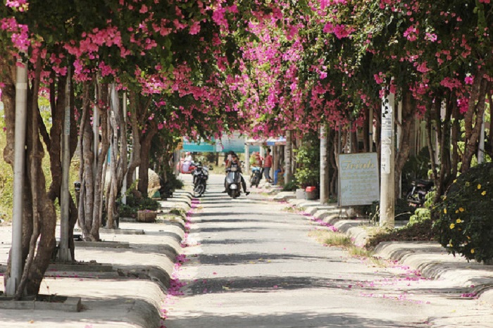 khamphavedepriengcuanhatrang3