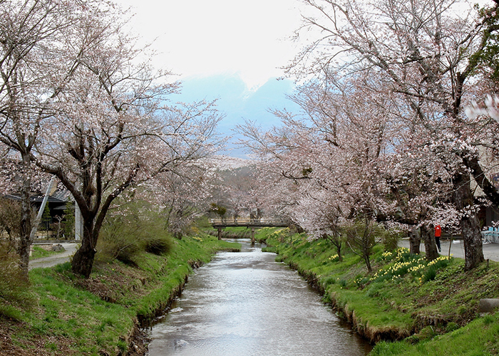 lang-co-oshino-hakkai-1 Làng cổ Oshino Hakkai
