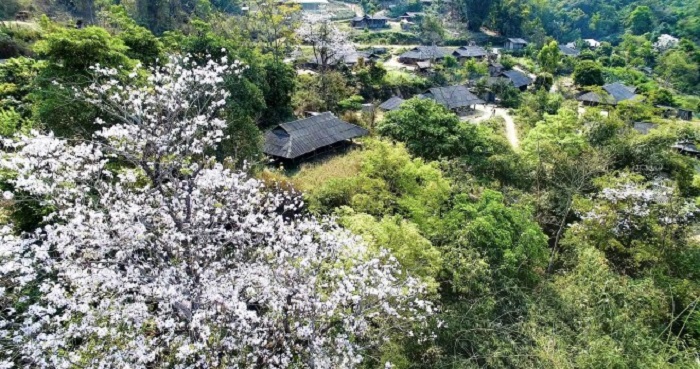 Tour Du Lịch Điện Biên 4 Ngày 3 Đêm: A PA CHẢI - MƯỜNG PHĂNG