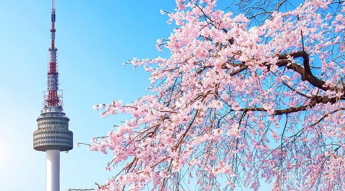 lehoihoanahdaohanquoc1