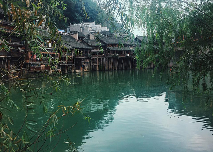mai-chi-phct phuong-honag-co-tran