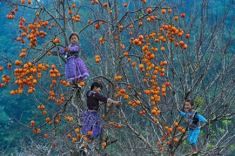muahongchinmocchauvaothangmay-1
