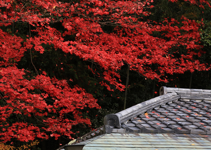 nanzen-ji-kyoto cố đô Kyoto