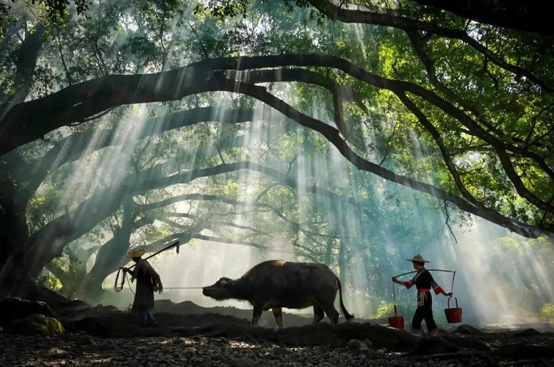ngoilanghutkhactaitrungquoc-1