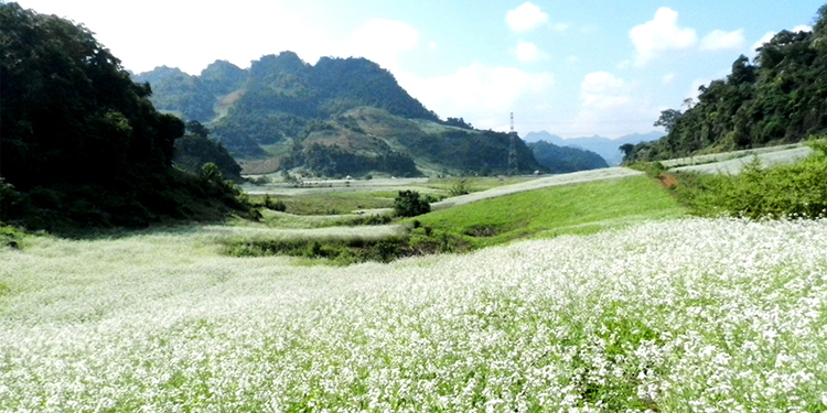 nhungdiadiemngamhoacaimocchuabankhongtheboqua1