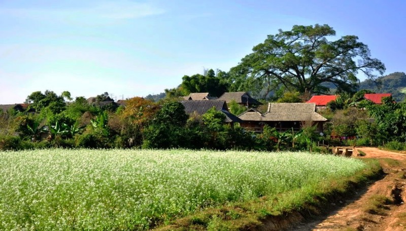 nhungdiadiemngamhoacaimocchuabankhongtheboqua4
