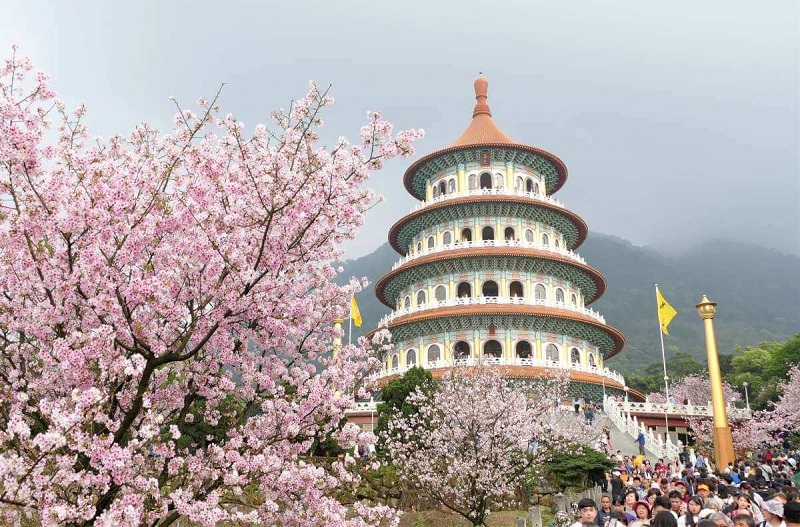 nhungdiemngamhoaanhdaodailoan