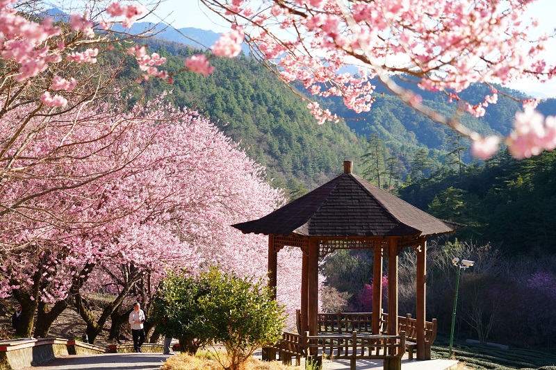 nhungdiemngamhoaanhdaodailoan5