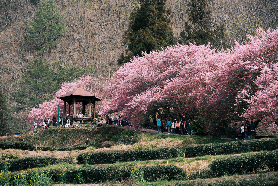 nhungdiemngamhoaanhdaodailoan6