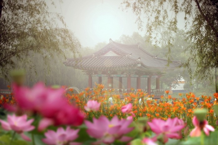 nhunglehoimuahetaihanquoc1