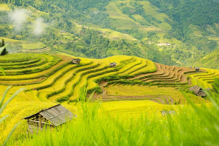 nhunglydosekhienbanphaididulich-hagiangthang10