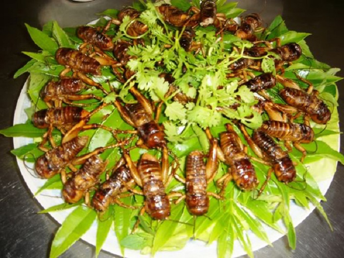 nhungmonandoclachicoocampuchia3